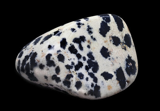 Dalmatian Jasper